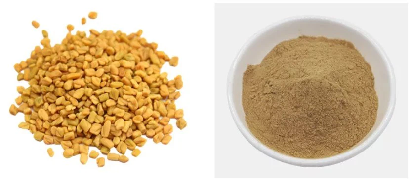 Fenugreek extract powder price