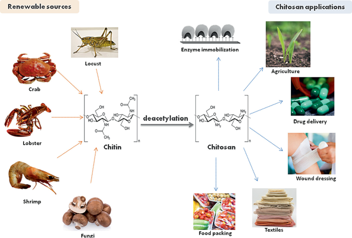 Agriculture chitosan