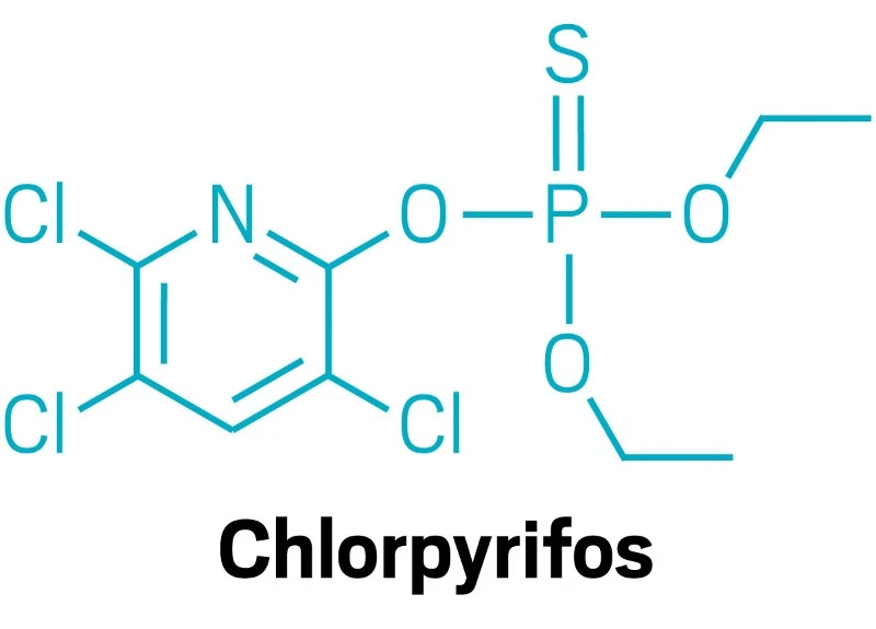 Chlorpyrifos Chlorpyrifos