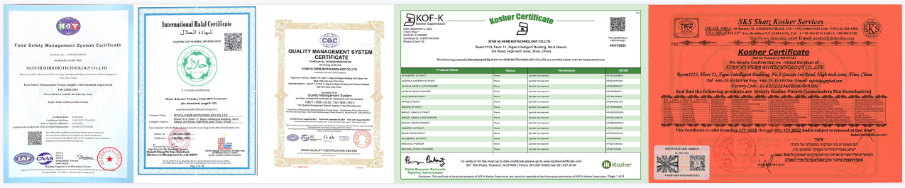 Probiotic powder bulk Probiotic powder bulk