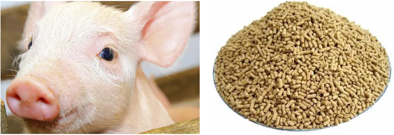 Cholecalciferol Powder Poultry Use & Dosage Cholecalciferol Powder Poultry Use & Dosage