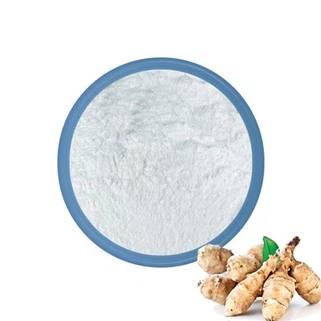 پودر اینولین
