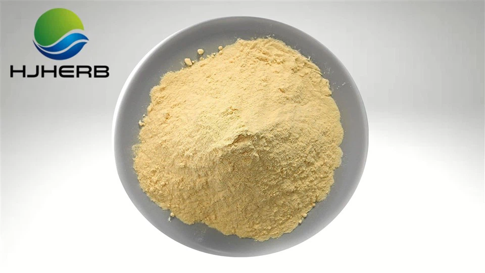 Brewer's Yeast