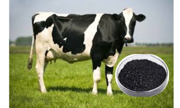 Sodium Humate Flakes supplier Sodium Humate Flakes supplier